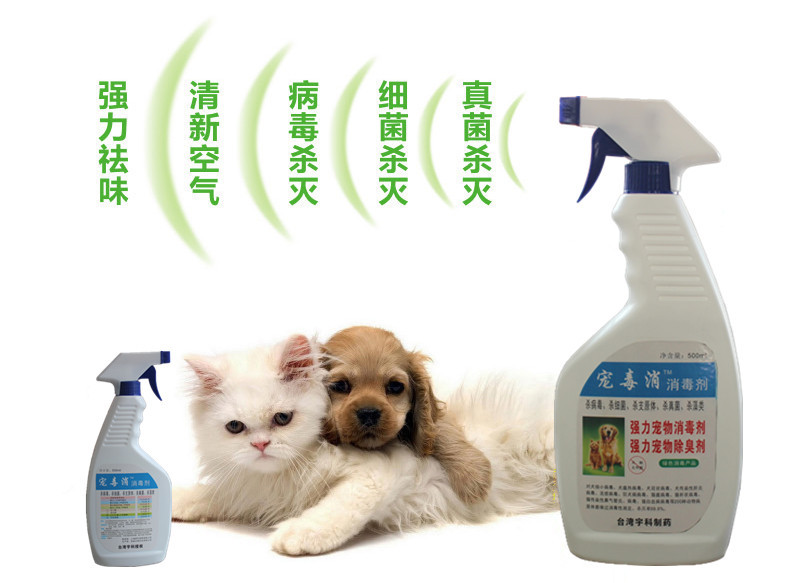 寵毒消 專業(yè)寵物消毒解決方案，守護(hù)愛寵健康環(huán)境